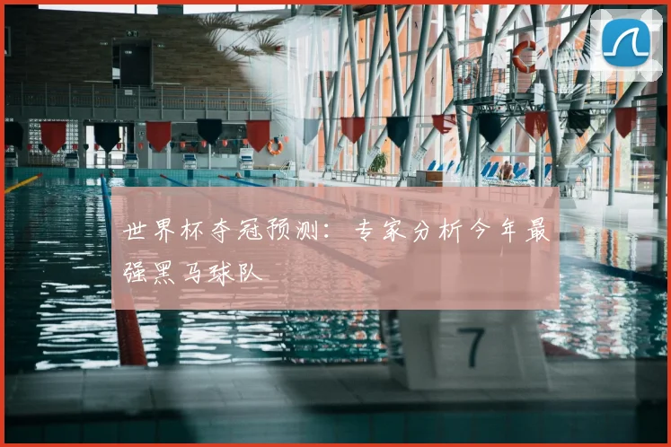 世界杯夺冠预测：专家分析今年最强黑马球队