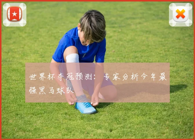 世界杯夺冠预测：专家分析今年最强黑马球队