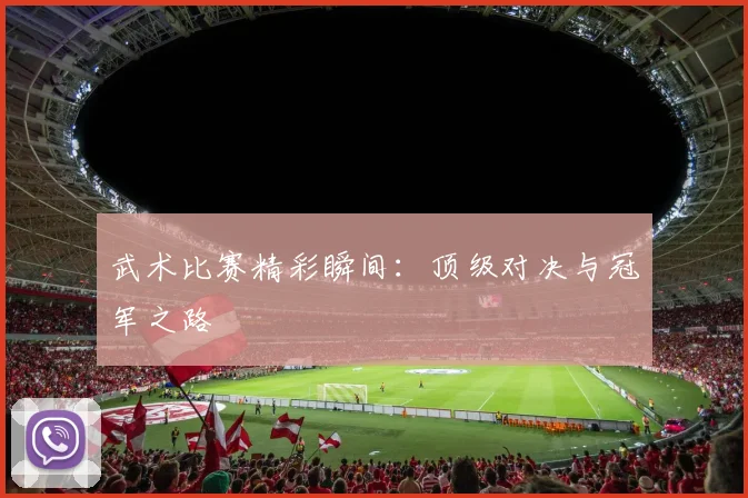 武术比赛精彩瞬间：顶级对决与冠军之路