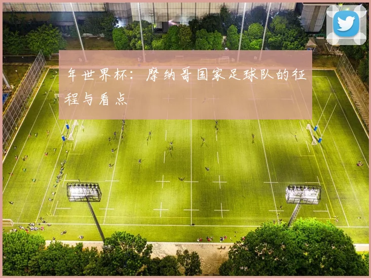 年世界杯：摩纳哥国家足球队的征程与看点