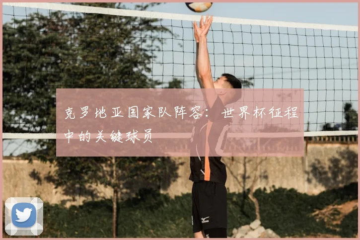 克罗地亚国家队阵容：世界杯征程中的关键球员